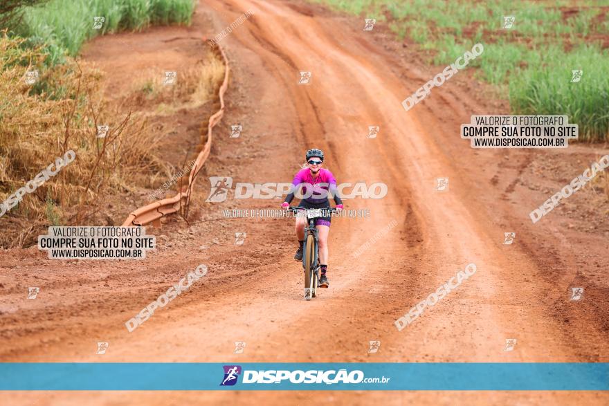 1ª EDIÇÃO DESAFIO ABELHA GRANDE - XCM