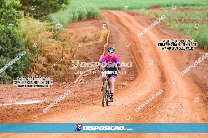 1ª EDIÇÃO DESAFIO ABELHA GRANDE - XCM