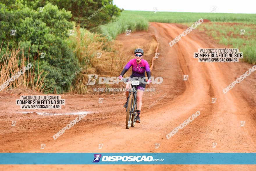 1ª EDIÇÃO DESAFIO ABELHA GRANDE - XCM