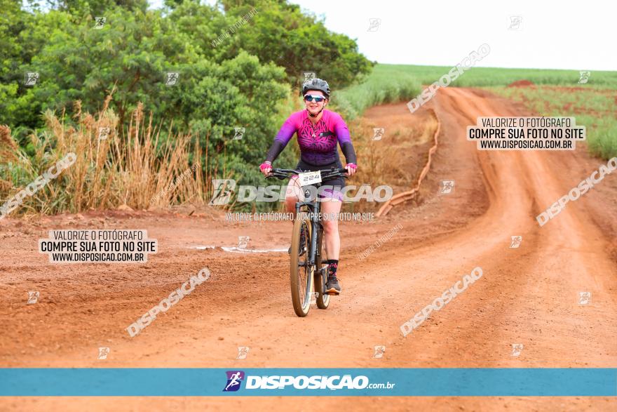 1ª EDIÇÃO DESAFIO ABELHA GRANDE - XCM