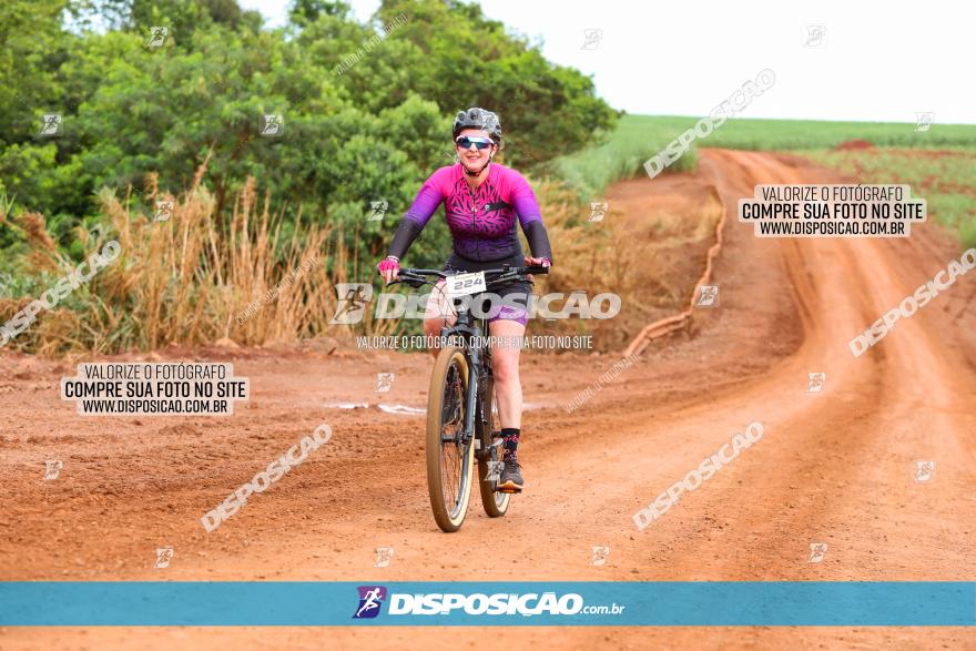 1ª EDIÇÃO DESAFIO ABELHA GRANDE - XCM