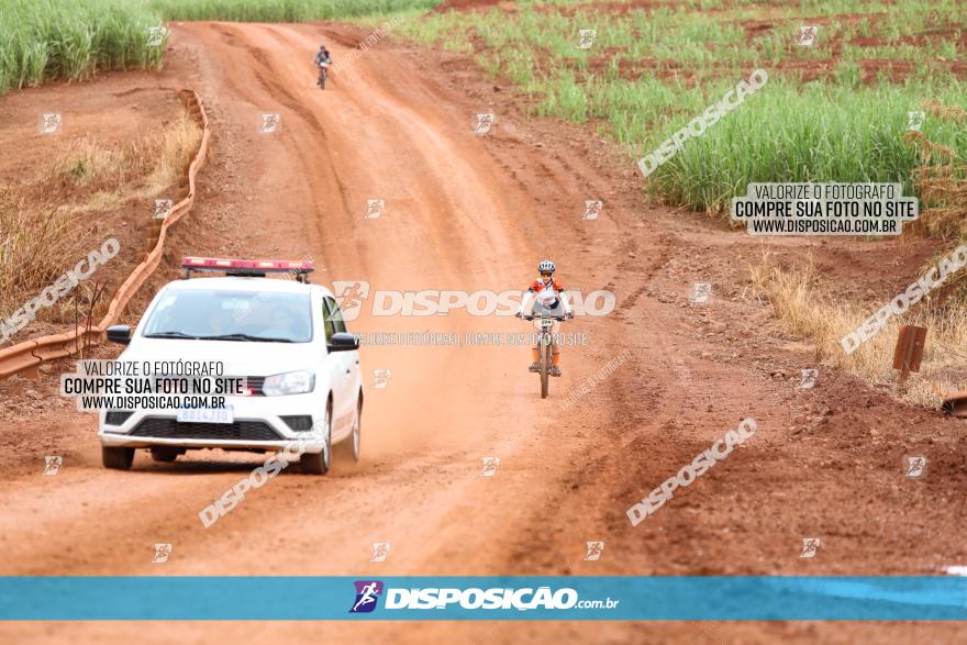 1ª EDIÇÃO DESAFIO ABELHA GRANDE - XCM