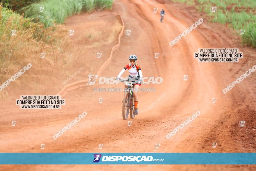 1ª EDIÇÃO DESAFIO ABELHA GRANDE - XCM