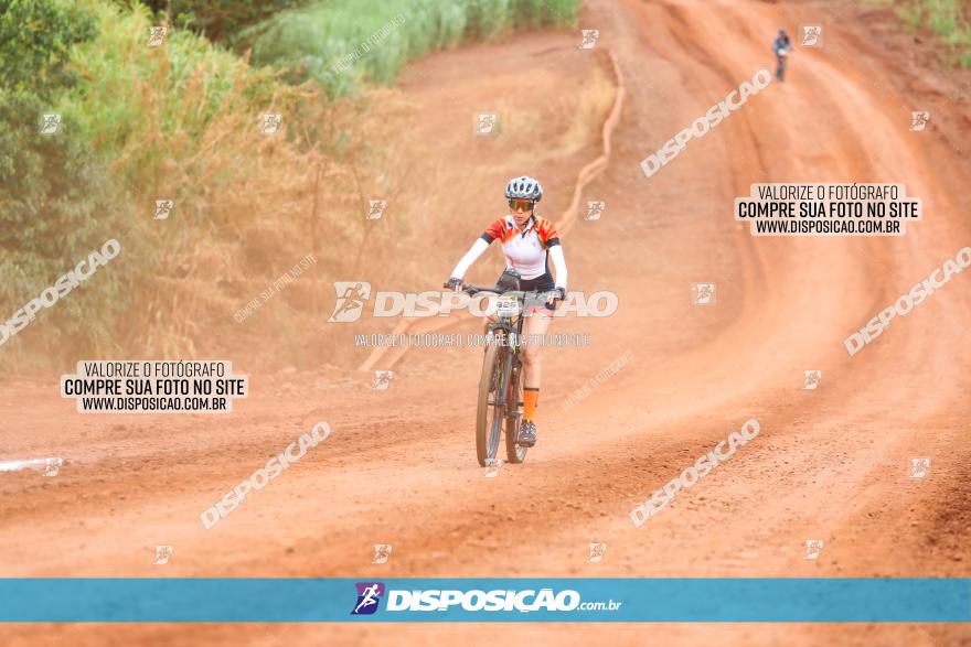 1ª EDIÇÃO DESAFIO ABELHA GRANDE - XCM