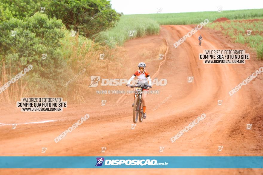 1ª EDIÇÃO DESAFIO ABELHA GRANDE - XCM