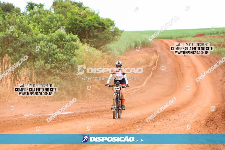 1ª EDIÇÃO DESAFIO ABELHA GRANDE - XCM