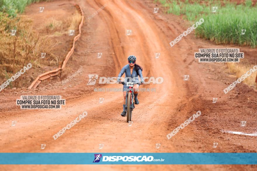 1ª EDIÇÃO DESAFIO ABELHA GRANDE - XCM