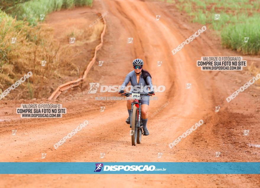 1ª EDIÇÃO DESAFIO ABELHA GRANDE - XCM