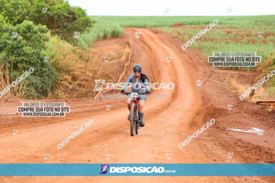 1ª EDIÇÃO DESAFIO ABELHA GRANDE - XCM