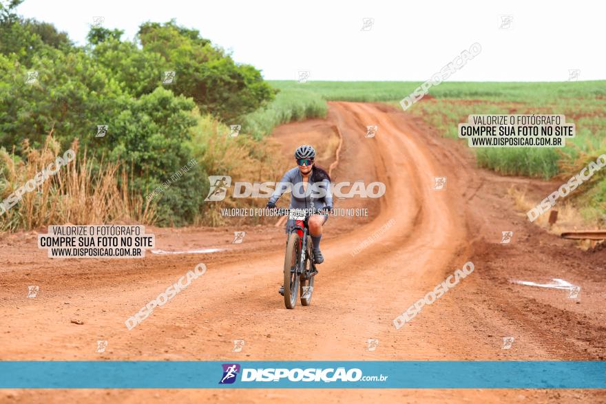 1ª EDIÇÃO DESAFIO ABELHA GRANDE - XCM