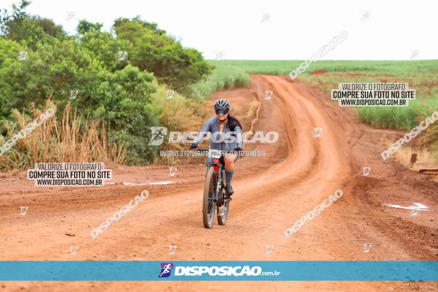 1ª EDIÇÃO DESAFIO ABELHA GRANDE - XCM