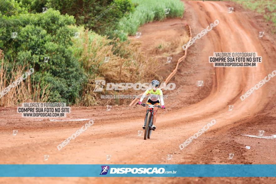 1ª EDIÇÃO DESAFIO ABELHA GRANDE - XCM