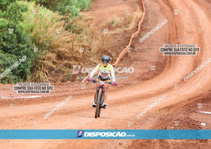 1ª EDIÇÃO DESAFIO ABELHA GRANDE - XCM