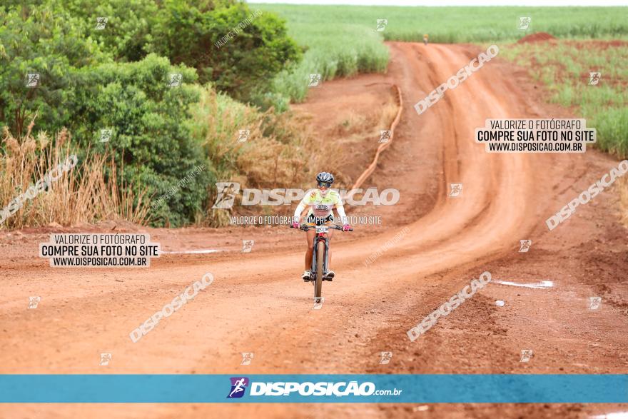 1ª EDIÇÃO DESAFIO ABELHA GRANDE - XCM