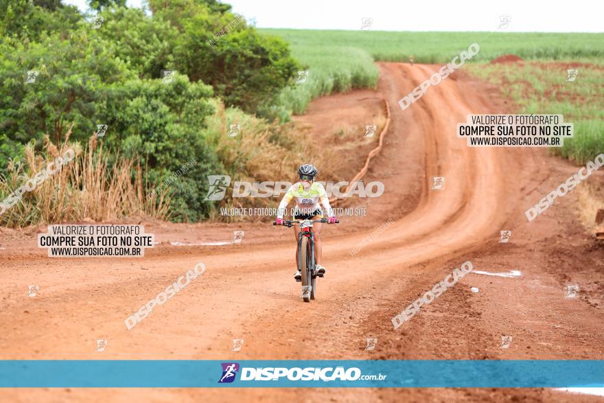 1ª EDIÇÃO DESAFIO ABELHA GRANDE - XCM