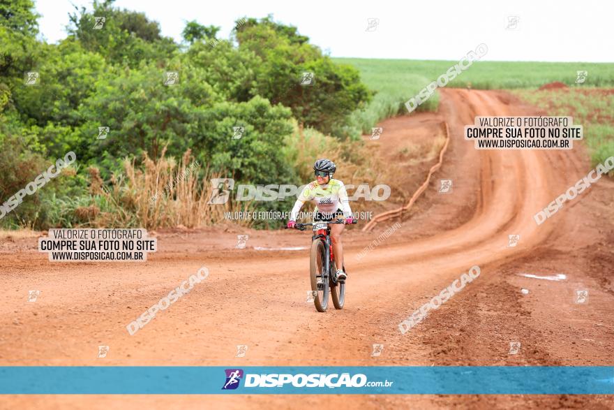 1ª EDIÇÃO DESAFIO ABELHA GRANDE - XCM