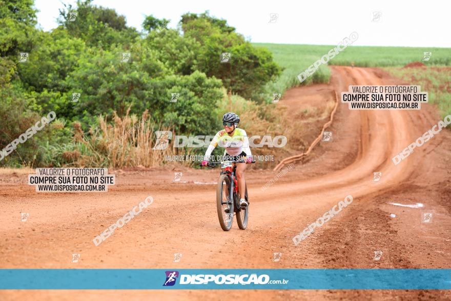 1ª EDIÇÃO DESAFIO ABELHA GRANDE - XCM