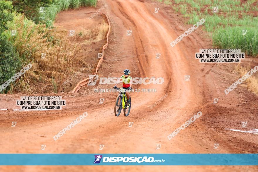 1ª EDIÇÃO DESAFIO ABELHA GRANDE - XCM