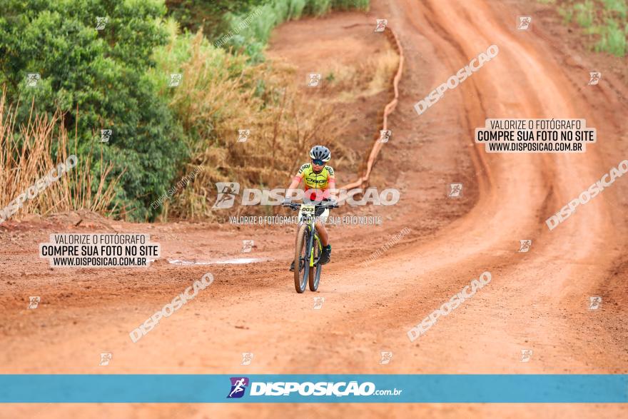 1ª EDIÇÃO DESAFIO ABELHA GRANDE - XCM