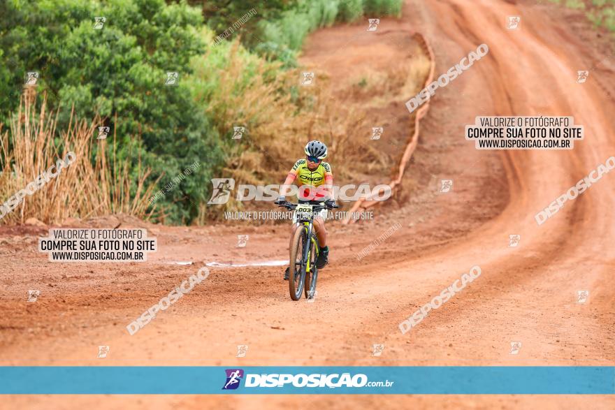 1ª EDIÇÃO DESAFIO ABELHA GRANDE - XCM