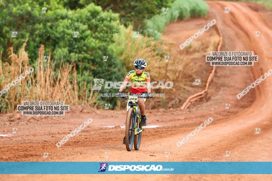 1ª EDIÇÃO DESAFIO ABELHA GRANDE - XCM