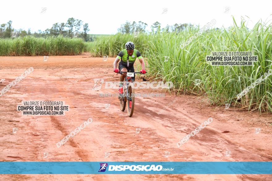 1ª EDIÇÃO DESAFIO ABELHA GRANDE - XCM