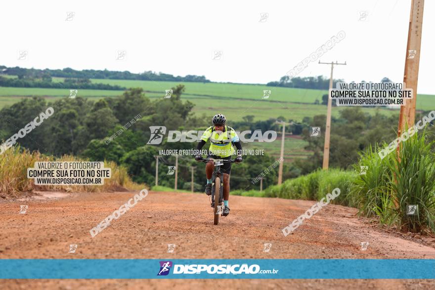 1ª EDIÇÃO DESAFIO ABELHA GRANDE - XCM