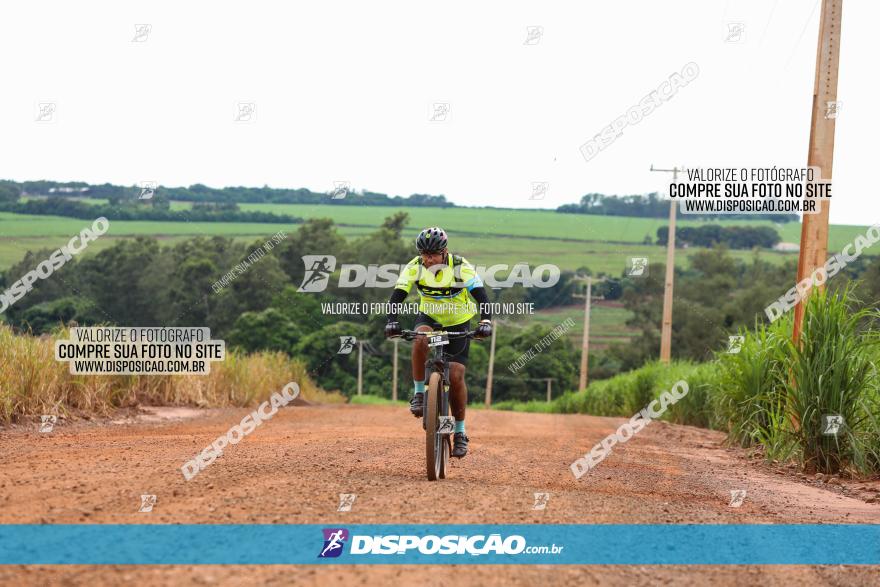 1ª EDIÇÃO DESAFIO ABELHA GRANDE - XCM