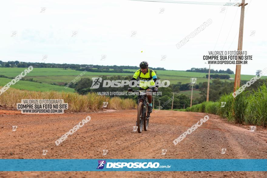 1ª EDIÇÃO DESAFIO ABELHA GRANDE - XCM