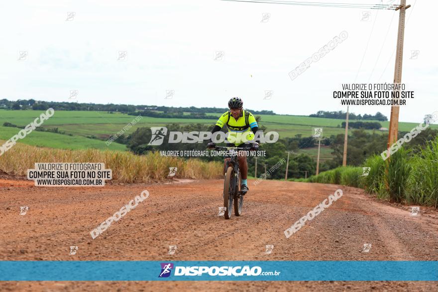 1ª EDIÇÃO DESAFIO ABELHA GRANDE - XCM