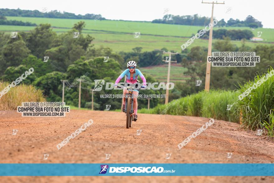 1ª EDIÇÃO DESAFIO ABELHA GRANDE - XCM