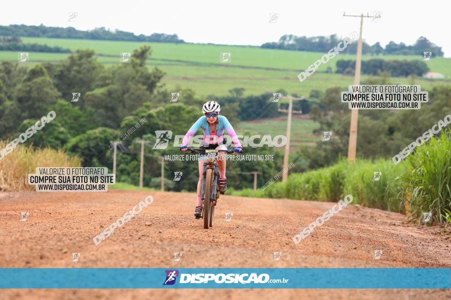 1ª EDIÇÃO DESAFIO ABELHA GRANDE - XCM