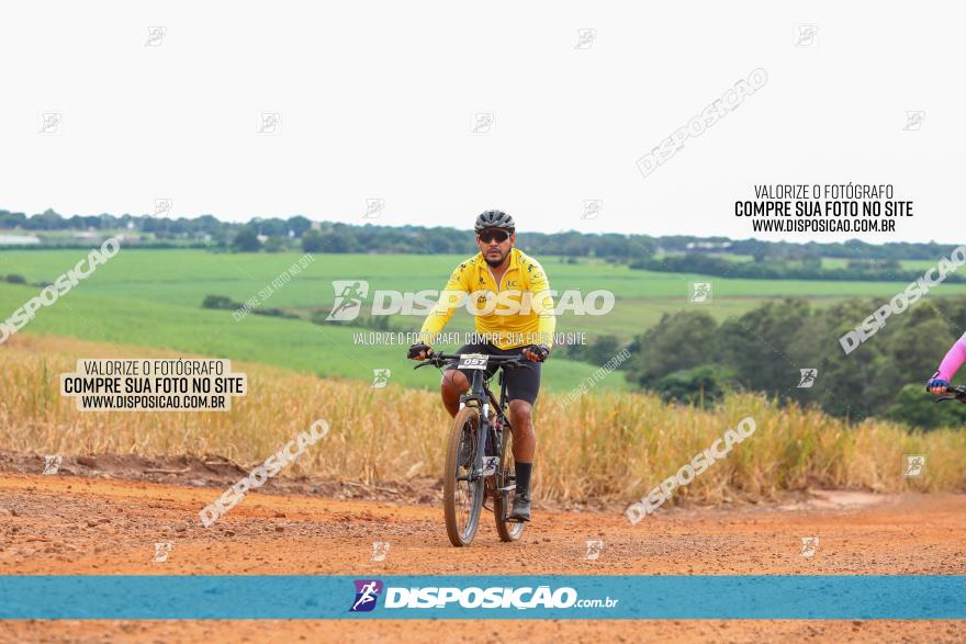 1ª EDIÇÃO DESAFIO ABELHA GRANDE - XCM