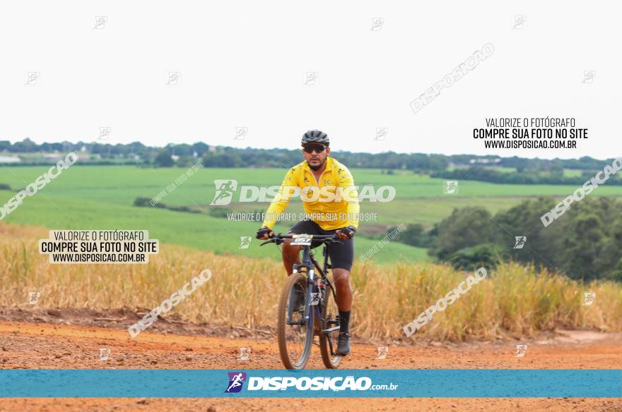 1ª EDIÇÃO DESAFIO ABELHA GRANDE - XCM