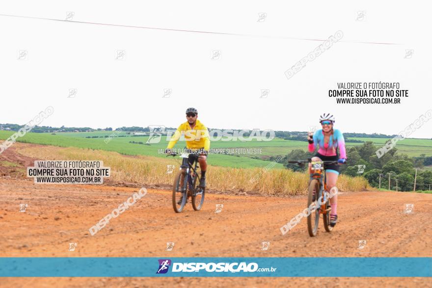 1ª EDIÇÃO DESAFIO ABELHA GRANDE - XCM