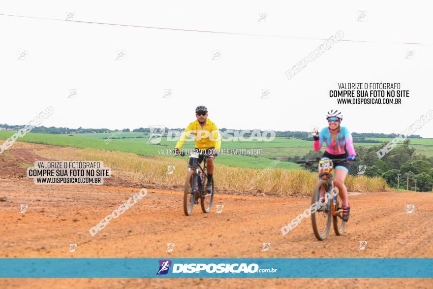 1ª EDIÇÃO DESAFIO ABELHA GRANDE - XCM