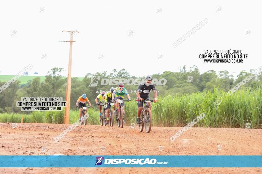 1ª EDIÇÃO DESAFIO ABELHA GRANDE - XCM