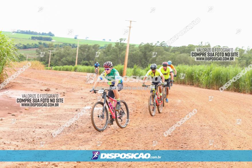 1ª EDIÇÃO DESAFIO ABELHA GRANDE - XCM