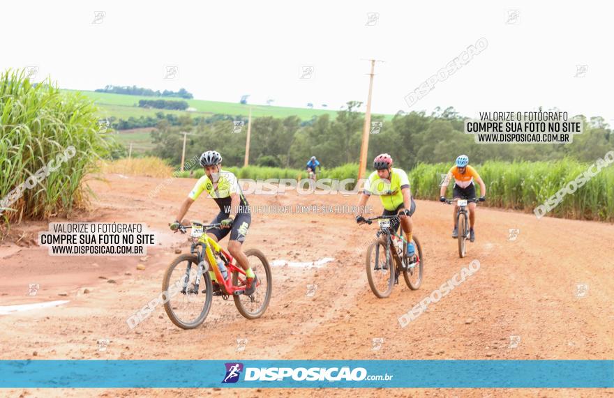 1ª EDIÇÃO DESAFIO ABELHA GRANDE - XCM