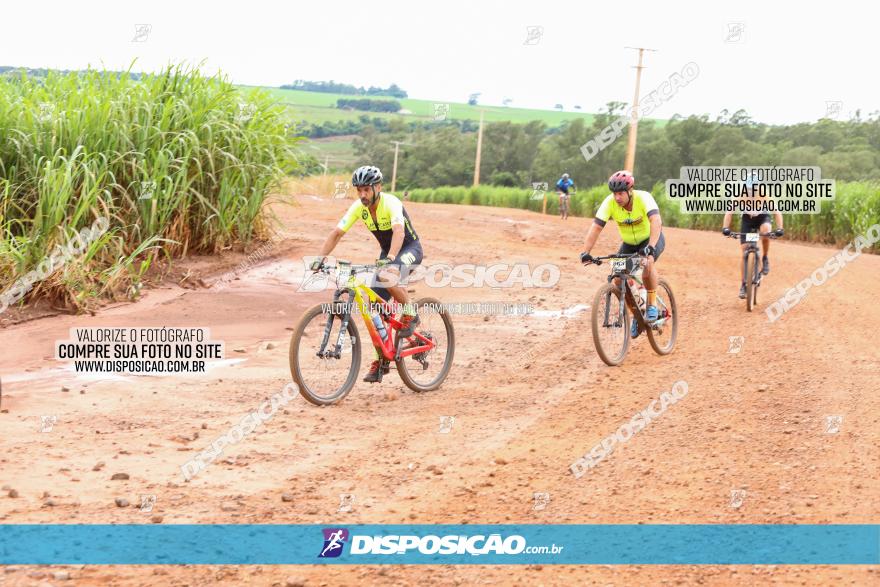 1ª EDIÇÃO DESAFIO ABELHA GRANDE - XCM