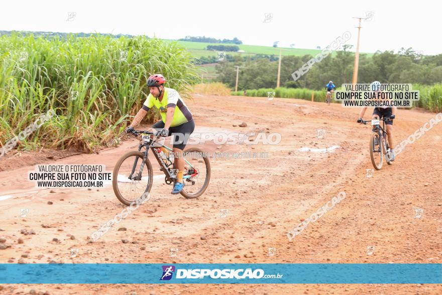 1ª EDIÇÃO DESAFIO ABELHA GRANDE - XCM