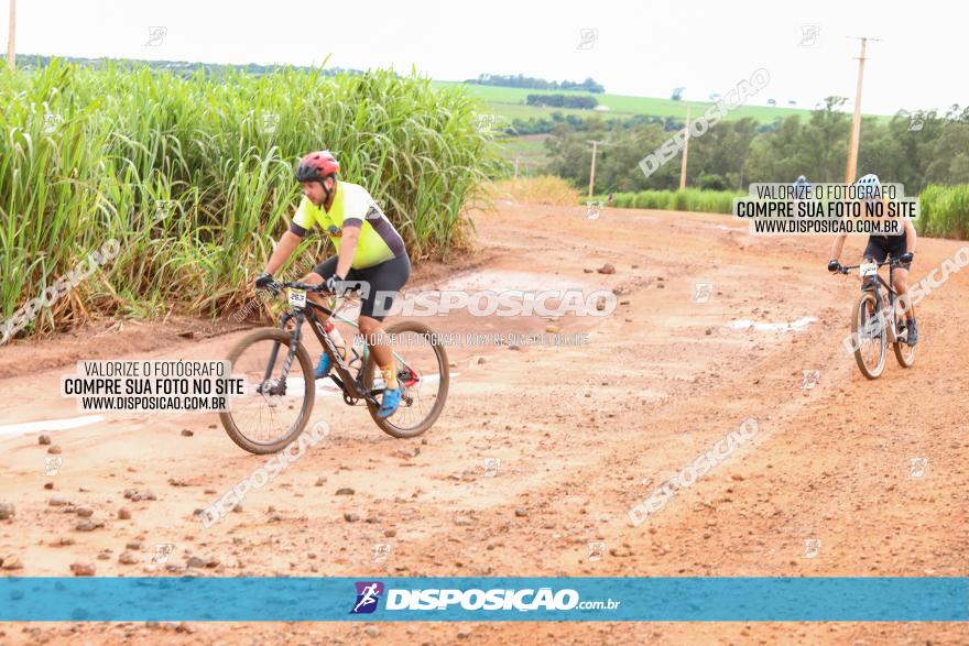 1ª EDIÇÃO DESAFIO ABELHA GRANDE - XCM