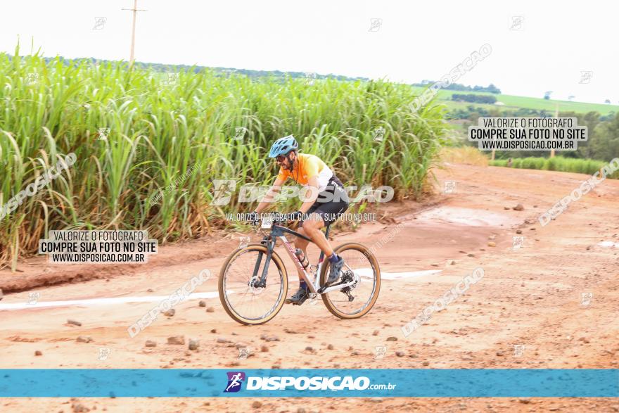 1ª EDIÇÃO DESAFIO ABELHA GRANDE - XCM