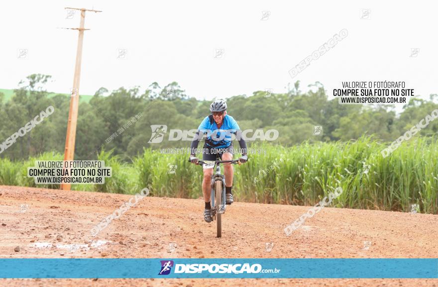 1ª EDIÇÃO DESAFIO ABELHA GRANDE - XCM