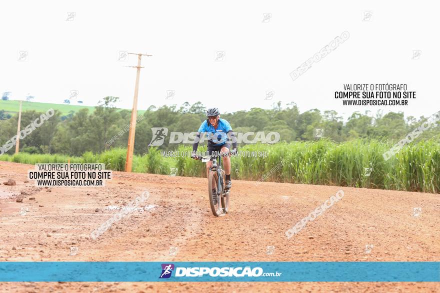 1ª EDIÇÃO DESAFIO ABELHA GRANDE - XCM