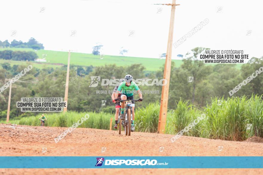 1ª EDIÇÃO DESAFIO ABELHA GRANDE - XCM