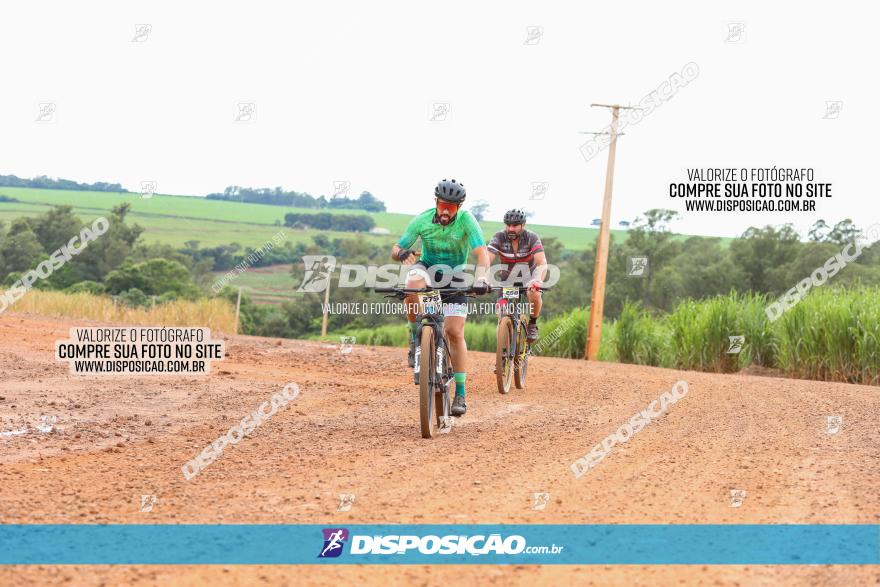 1ª EDIÇÃO DESAFIO ABELHA GRANDE - XCM