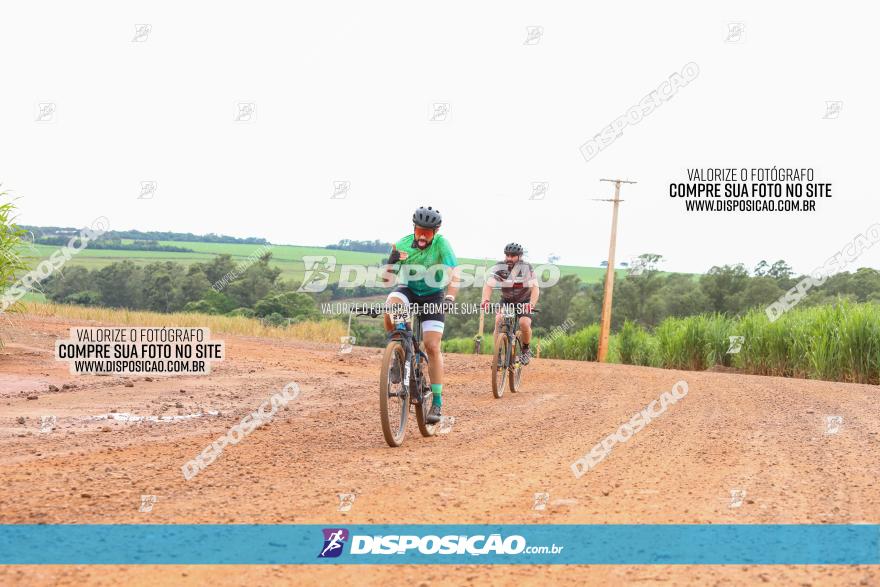 1ª EDIÇÃO DESAFIO ABELHA GRANDE - XCM