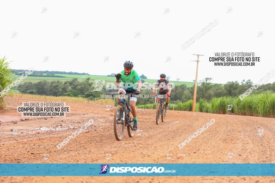 1ª EDIÇÃO DESAFIO ABELHA GRANDE - XCM