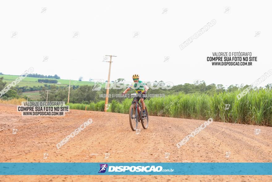 1ª EDIÇÃO DESAFIO ABELHA GRANDE - XCM